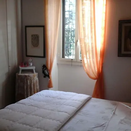 Il Viale Degli Ulivi