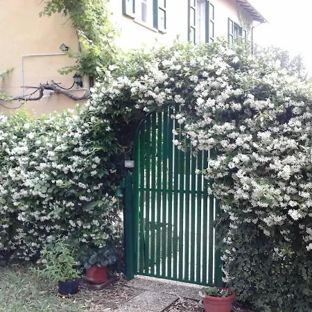 Πανσιόν Il Viale Degli Ulivi *