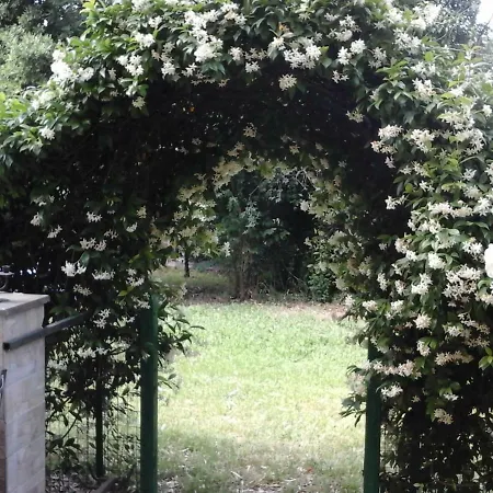 Il Viale Degli Ulivi Πανσιόν Ρώμη