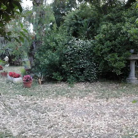 Πανσιόν Il Viale Degli Ulivi Ρώμη